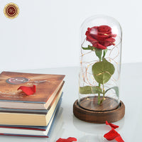 Beauty and the Beast Rose in a Glass Dome with LED & Light Wooden Base